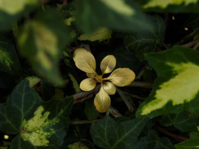 uyeda jeweller / Yoshihiro Suda - Weeds